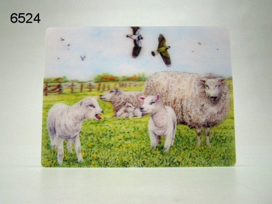 Schapen 3D ansichtkaart