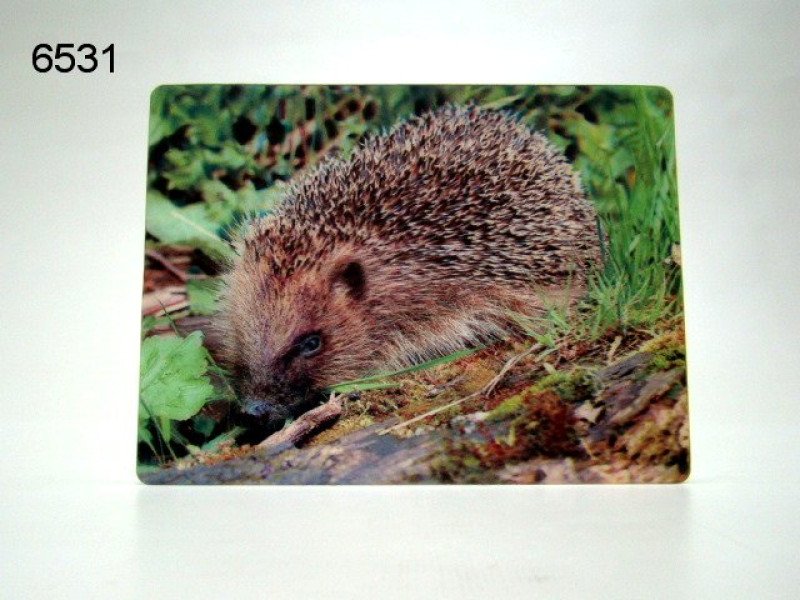 Egel 3D ansichtkaart