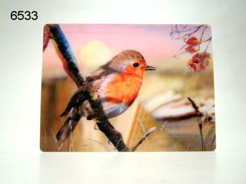 Roodborst 3D ansichtkaart