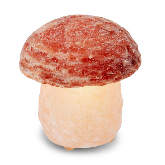 Salt Dreams paddenstoel zoutlamp 16 cm