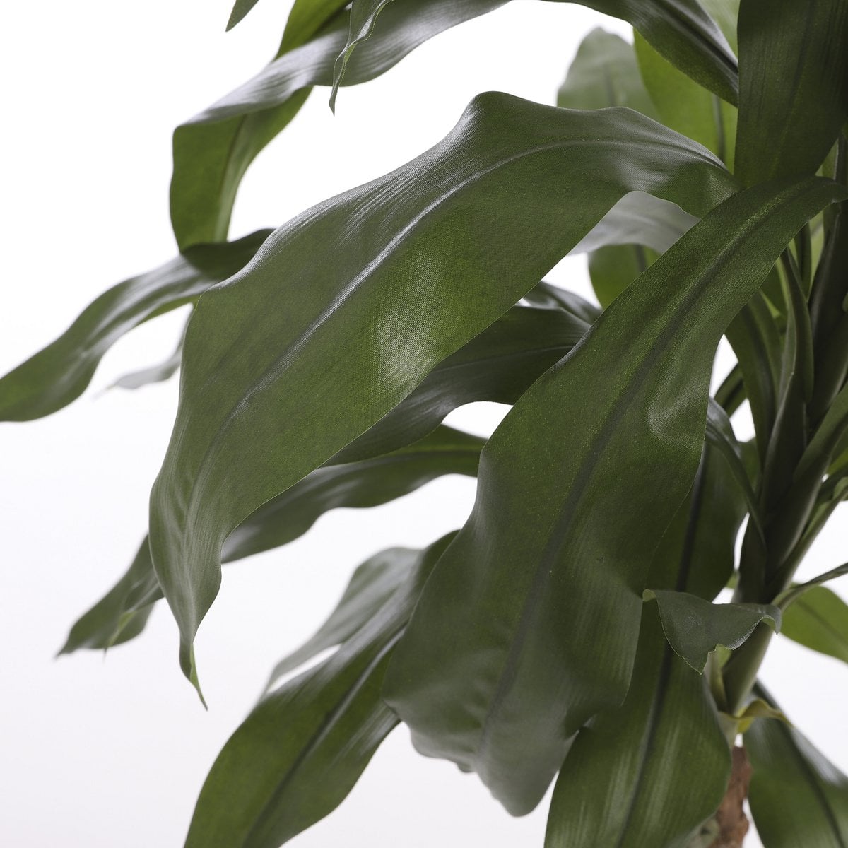 Dracaena kunstplant, 100 cm