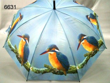 IJsvogel paraplu