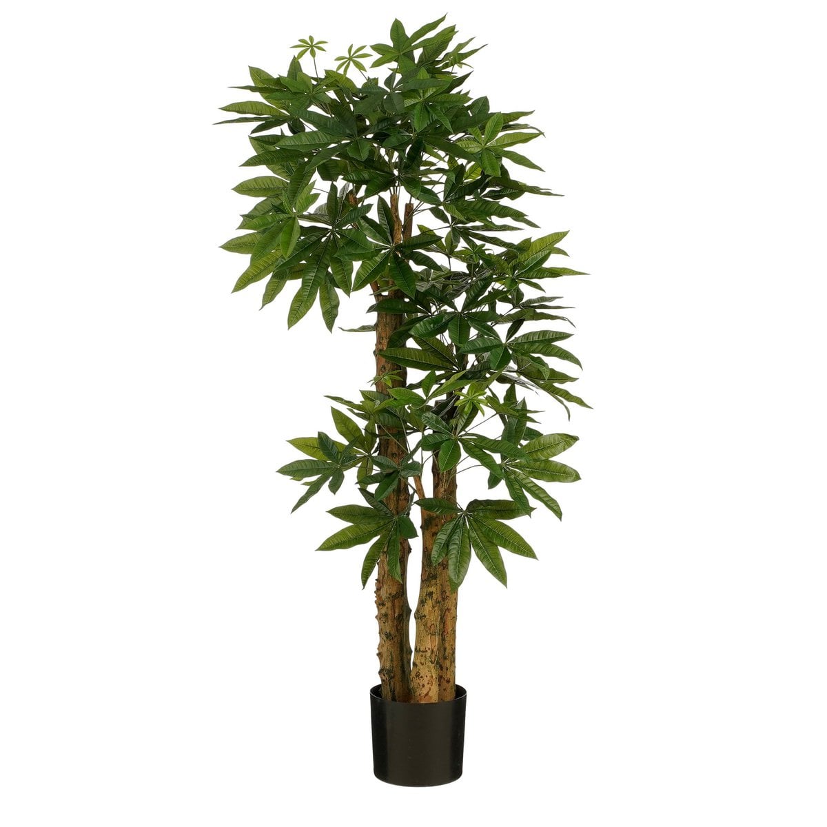 Pachira kunstplant, 175 cm
