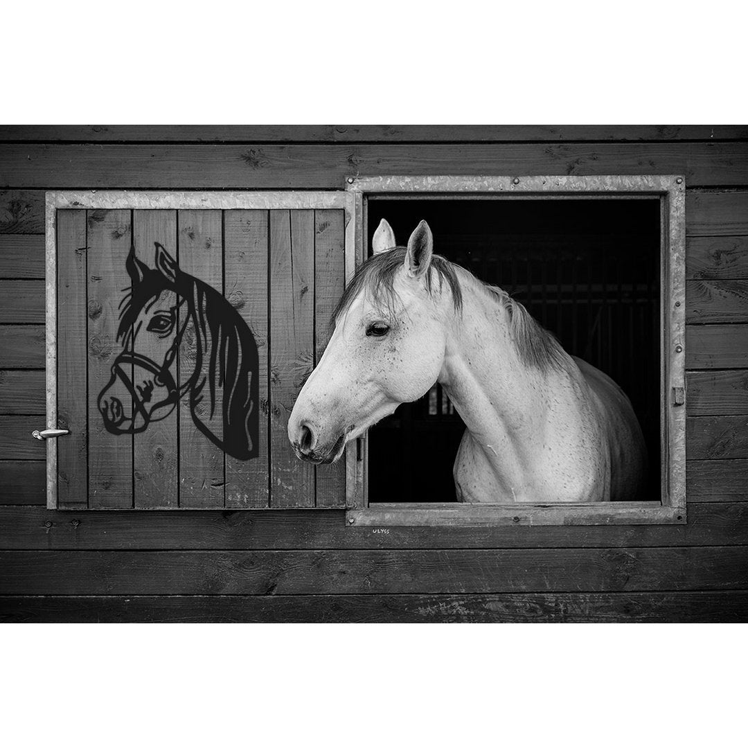 Peekaboo paardenhoofd zwart ornament – paal en schuttingdecoratie