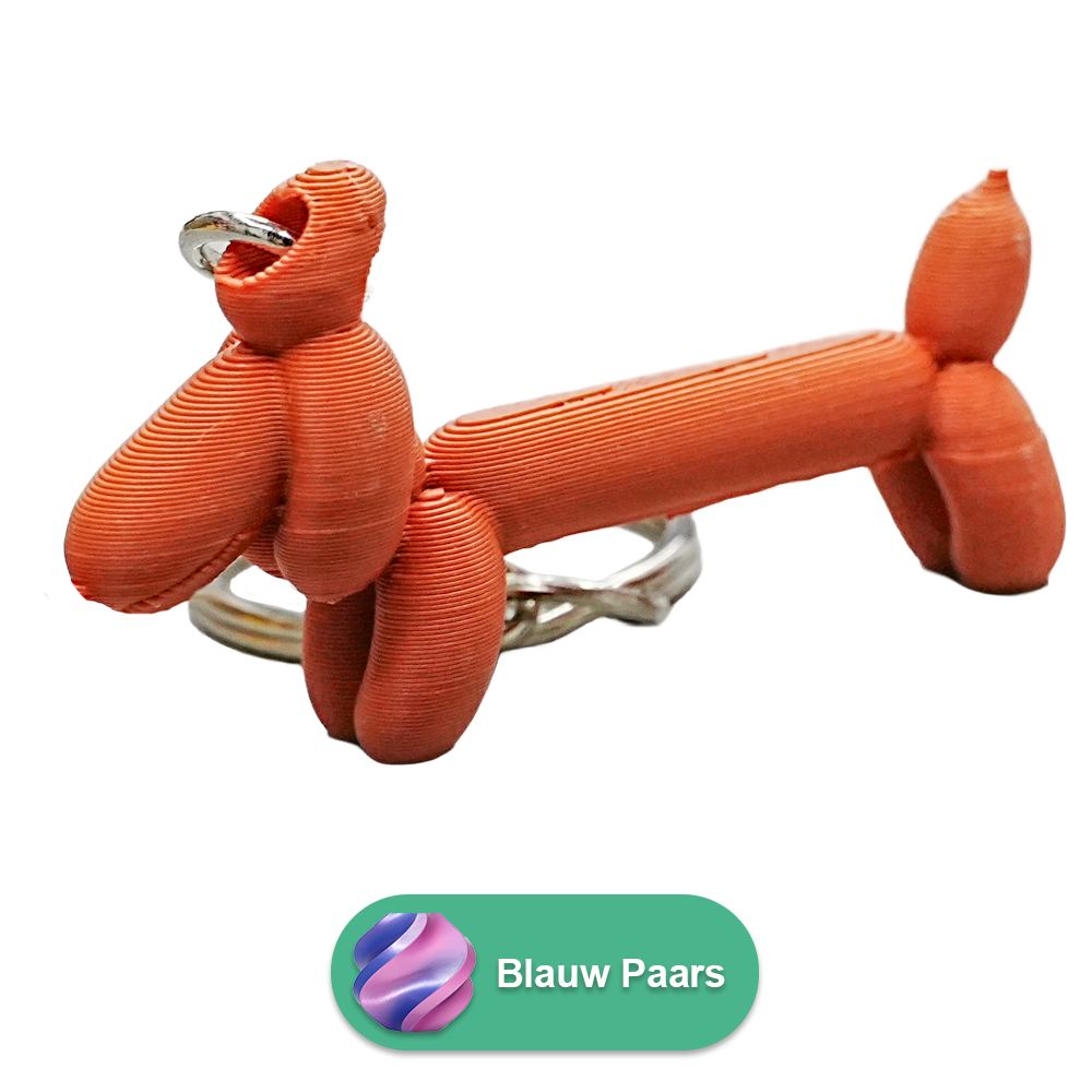 Wiener ballonhond sleutelhanger
