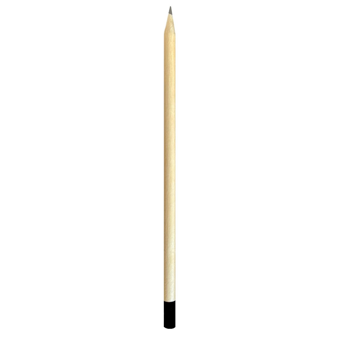 Seedz bloeipotlood munt, plantbaar potlood met zaden, 4 stuks