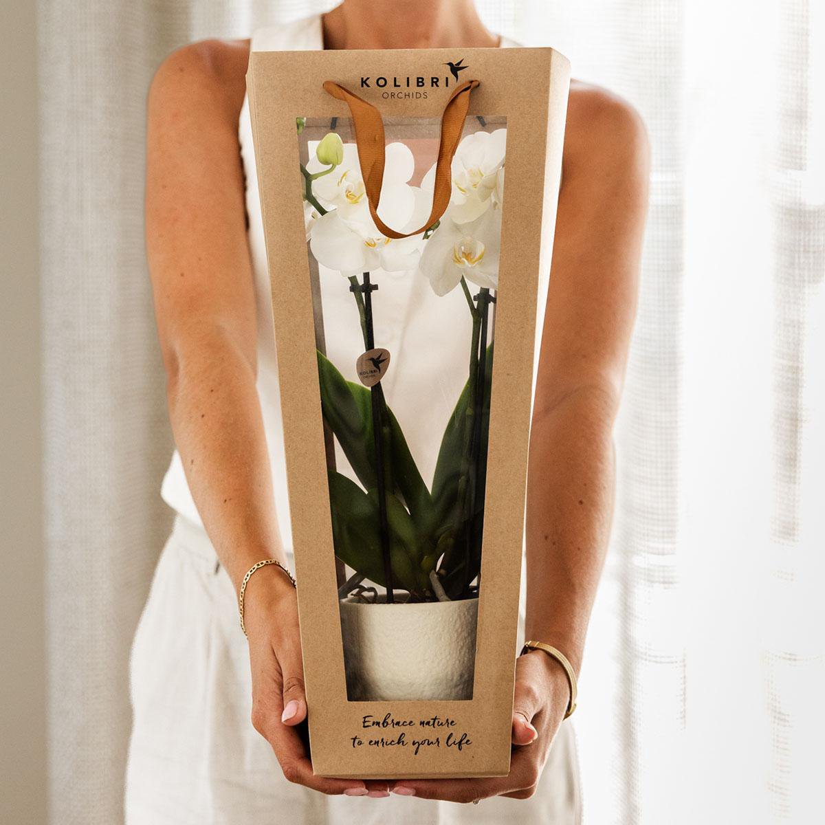 Cadeautasje voor orchidee met sierpot, wit, 45 cm