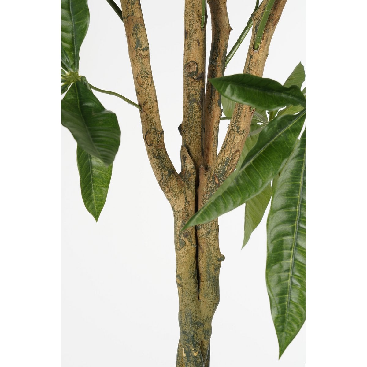 Pachira kunstplant, 120 cm
