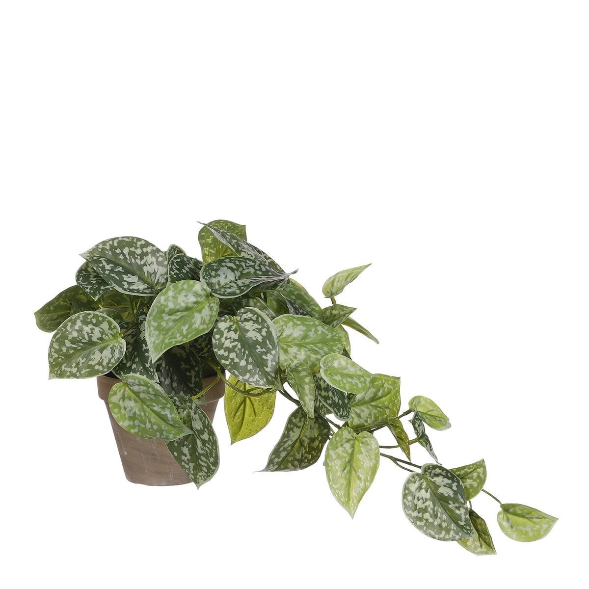 Scindapsus hangende kunstplant, 44 cm