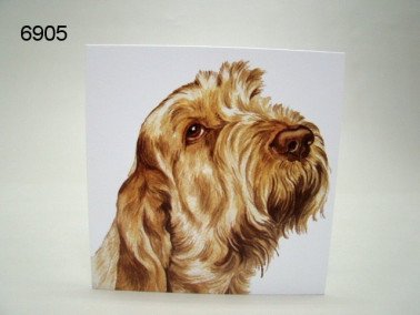 Spinona Italiano, wenskaart, 16 x 16 cm