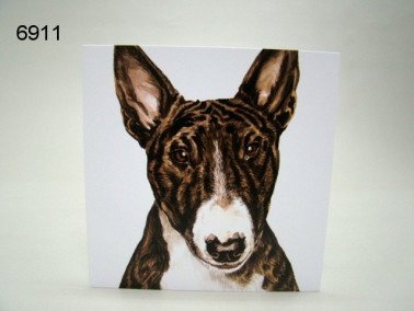 Bull terrier, wenskaart, 16 x 16 cm