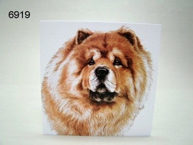 Chow chow, wenskaart, 16 x 16 cm