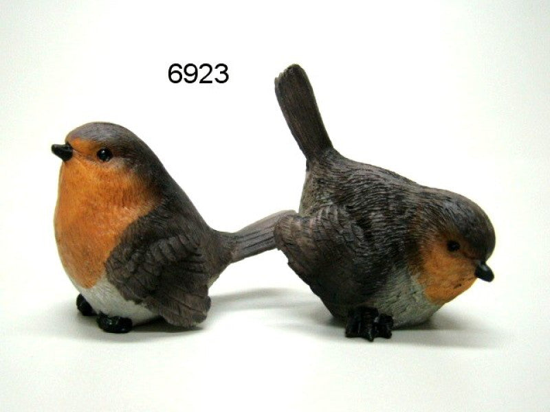 Roodborst assorti, 6 cm