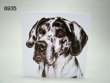Deense dog, wenskaart, 16 x 16 cm