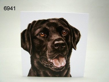Labrador, wenskaart, 16 x 16 cm