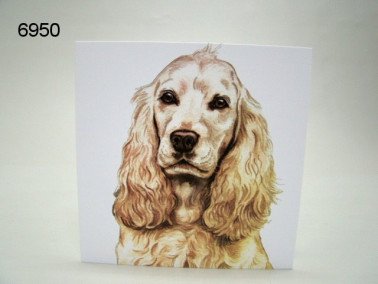 Cocker spaniel, wenskaart, 16 x 16 cm