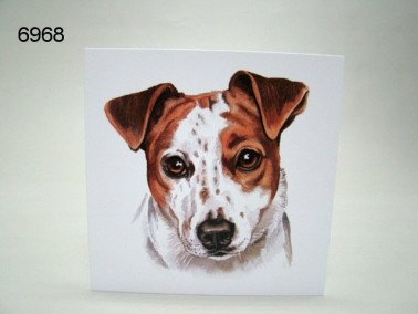 Jack Russell, wenskaart, 16 x 16 cm
