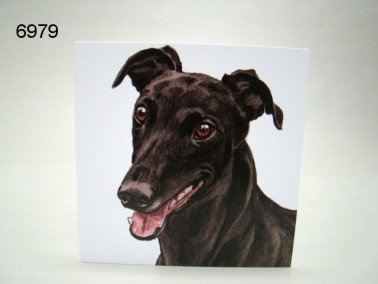 Greyhound, wenskaart, 16 x 16 cm