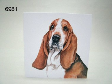 Basset, wenskaart, 16 x 16 cm