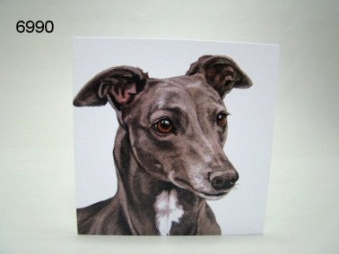 Greyhound, wenskaart, 16 x 16 cm