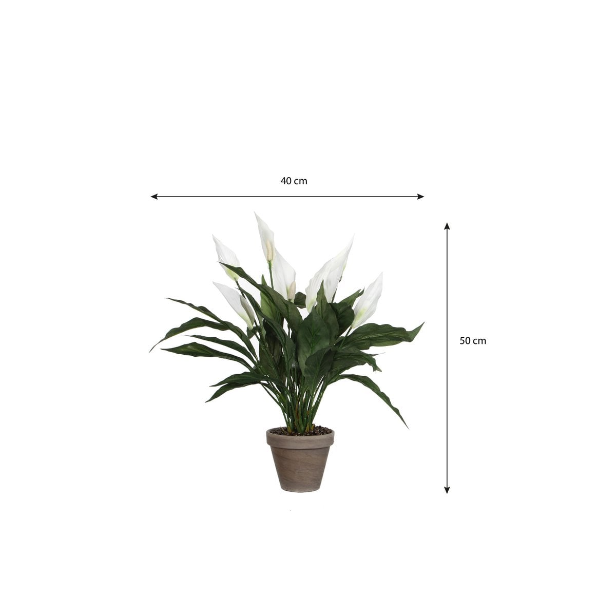 Spathiphyllum kunstplant, 50 cm
