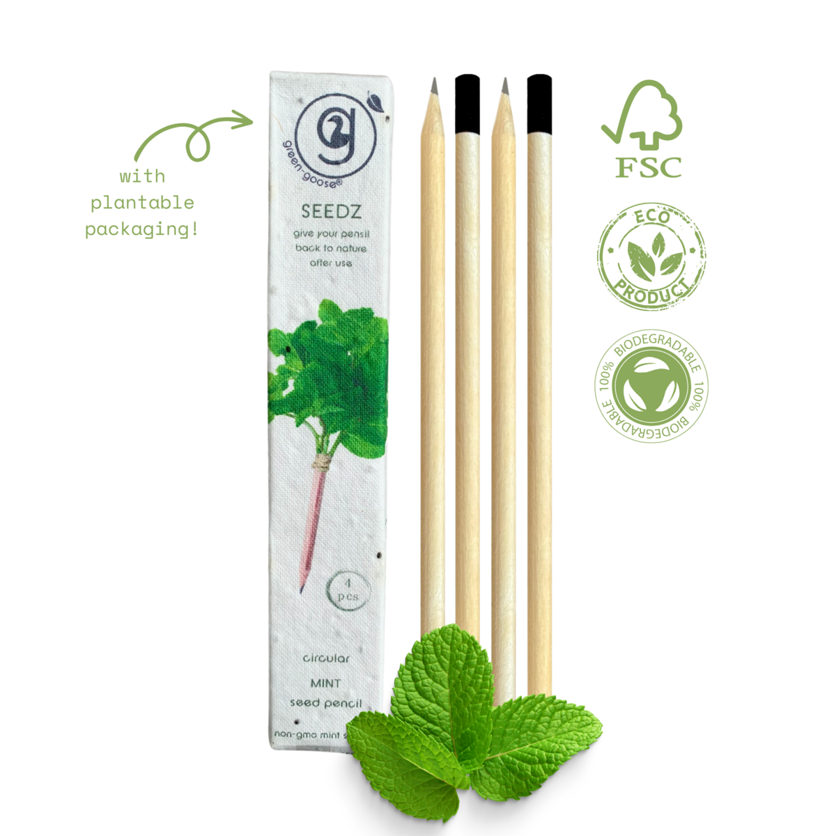 Seedz bloeipotlood munt, plantbaar potlood met zaden, 4 stuks