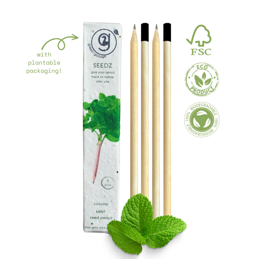 Seedz bloeipotlood munt, plantbaar potlood met zaden, 4 stuks