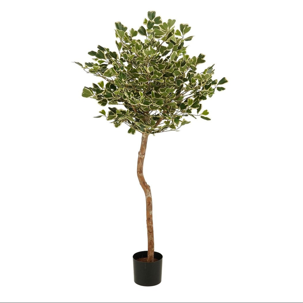 Ficus Triangularis kunstplant met pot, groen, 150 cm