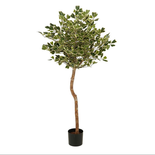 Ficus Triangularis kunstplant met pot, groen, 150 cm