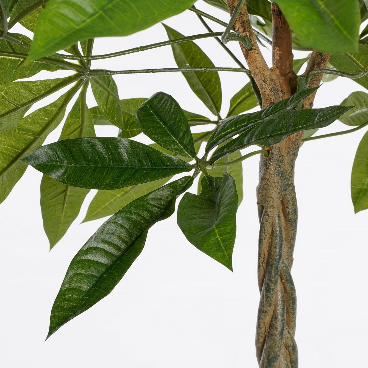 Pachira kunstplant, 80 cm