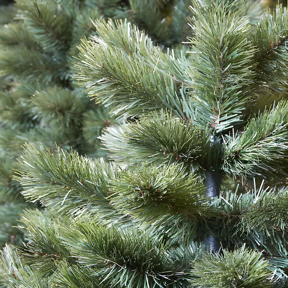 Camden smalle kunstkerstboom, 230 cm