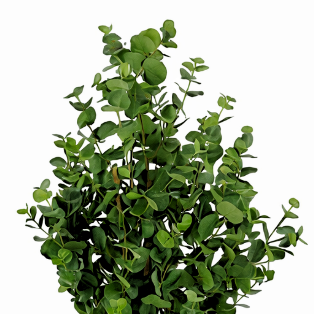 Eucalyptusboom kunstplant, 140 cm