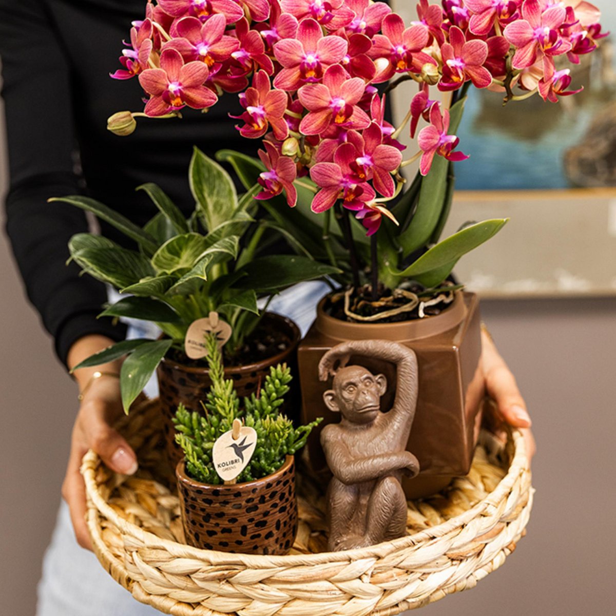 Sitting Monkey ornament, bruin, 13 cm