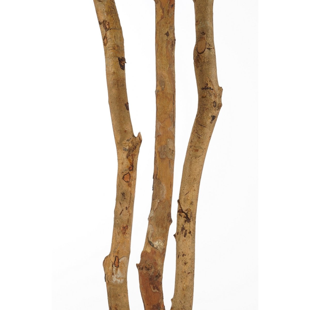 Vingerplant kunstplant, 150 cm