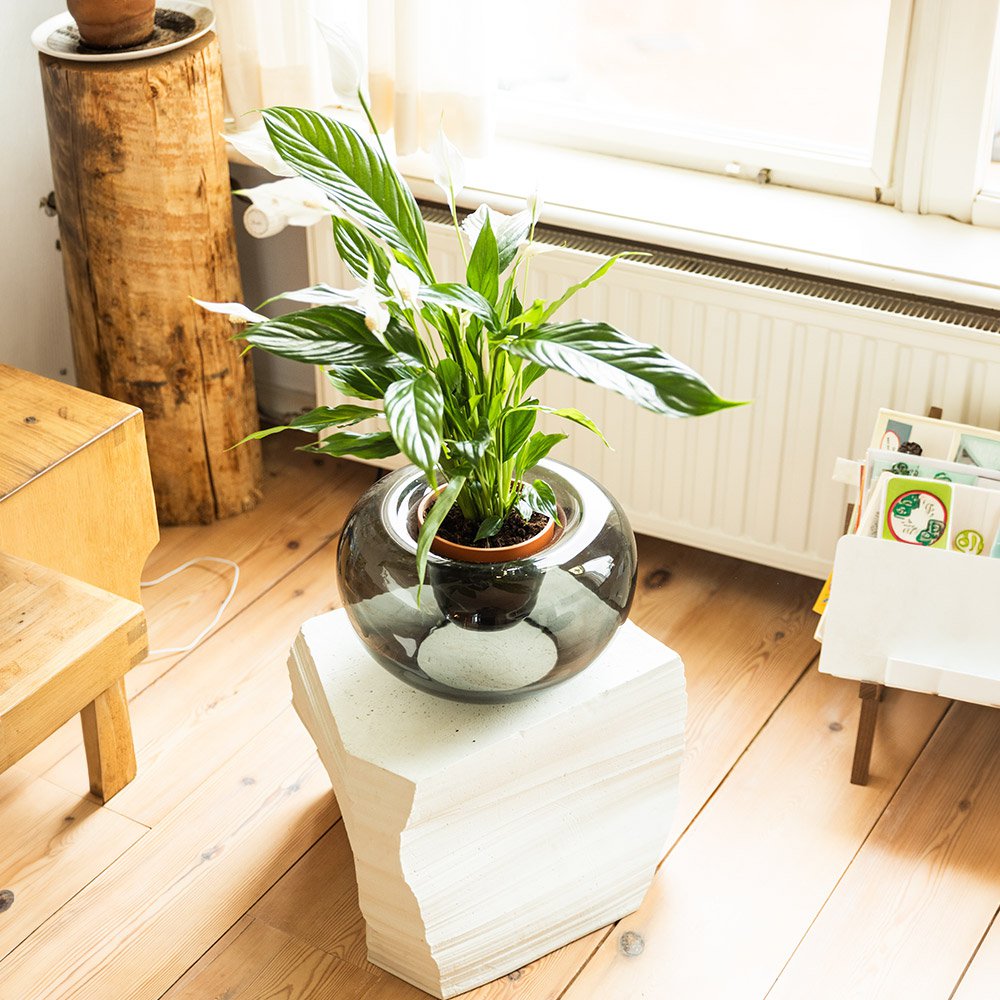 Potvase glazen plantenvaas met terracotta pot, Ø 35 cm