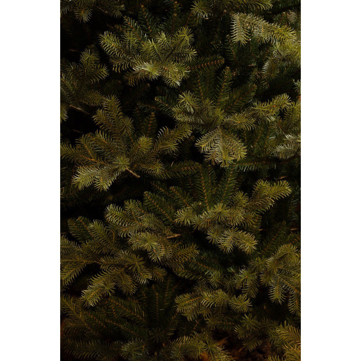 Clive kunstkerstboom, 155 cm, Ø 109 cm