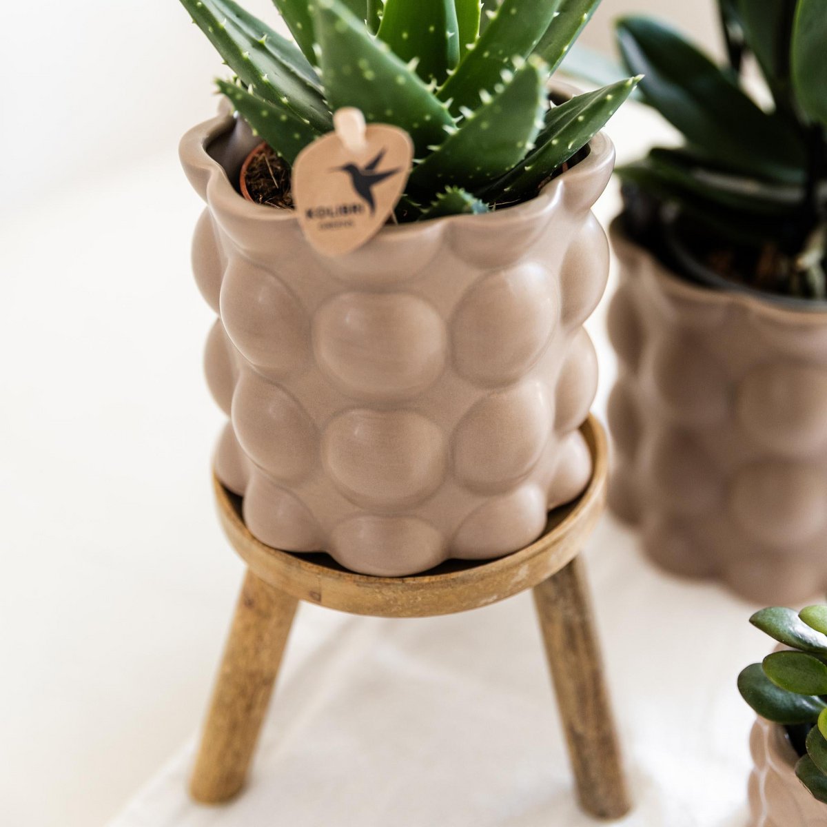 Houten plantenstandaard, Ø 12 cm, 10,5 cm hoog