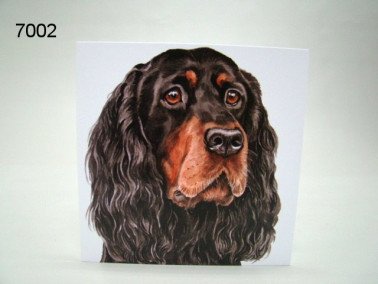 Gordon setter, wenskaart, 16 x 16 cm