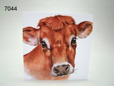 Koe Jersey, wenskaart, 16 x 16 cm