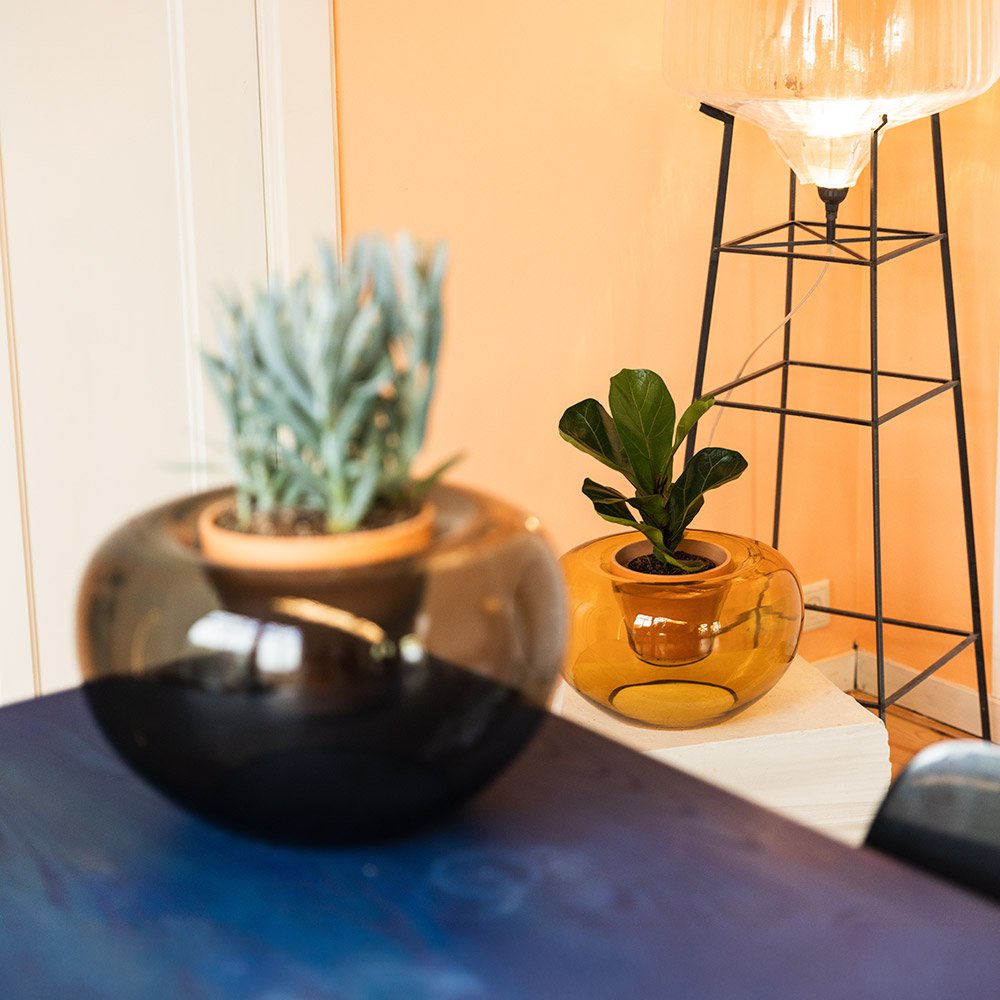 Potvase glazen plantenvaas met terracotta pot, Ø 35 cm