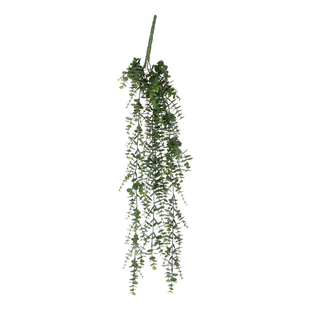 Eucalyptus hangplant, 25 × 20 × 93 cm