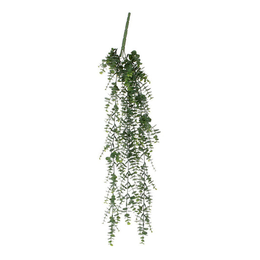 Eucalyptus hangplant, 25 × 20 × 93 cm