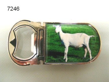 Geit flesopener met magneet