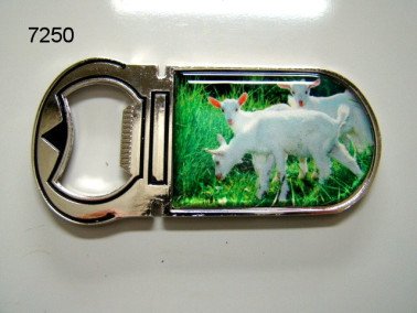 Geitenlammetjes flesopener met magneet