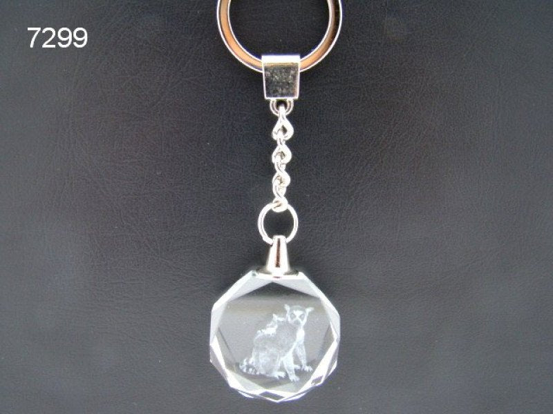 Ringstaartmaki/katta sleutelhanger, glas