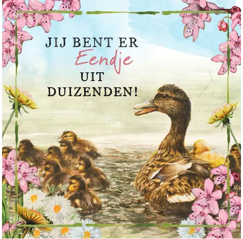 Rien Poortvliet Wenskaart – Jij bent er eendje uit duizenden, 13,5 x 13,5 cm