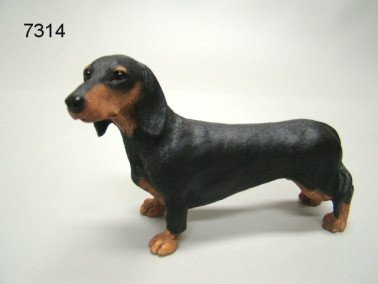 Teckel korthaar black & tan, 11 x 7 cm