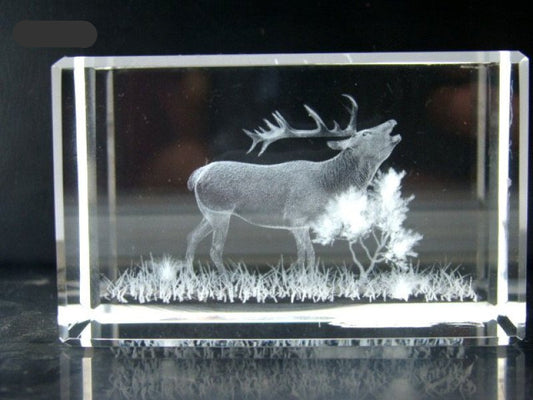 Edelhert glasblokje, 3D lasergravure