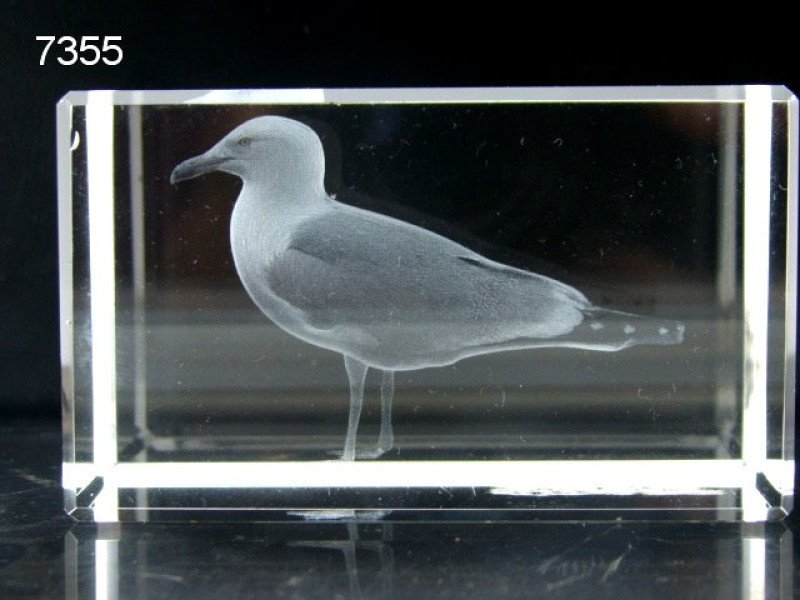 Meeuw glasblokje