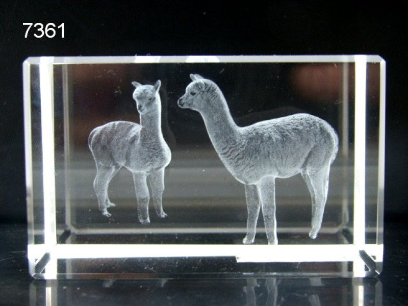 Alpaca glasblokje